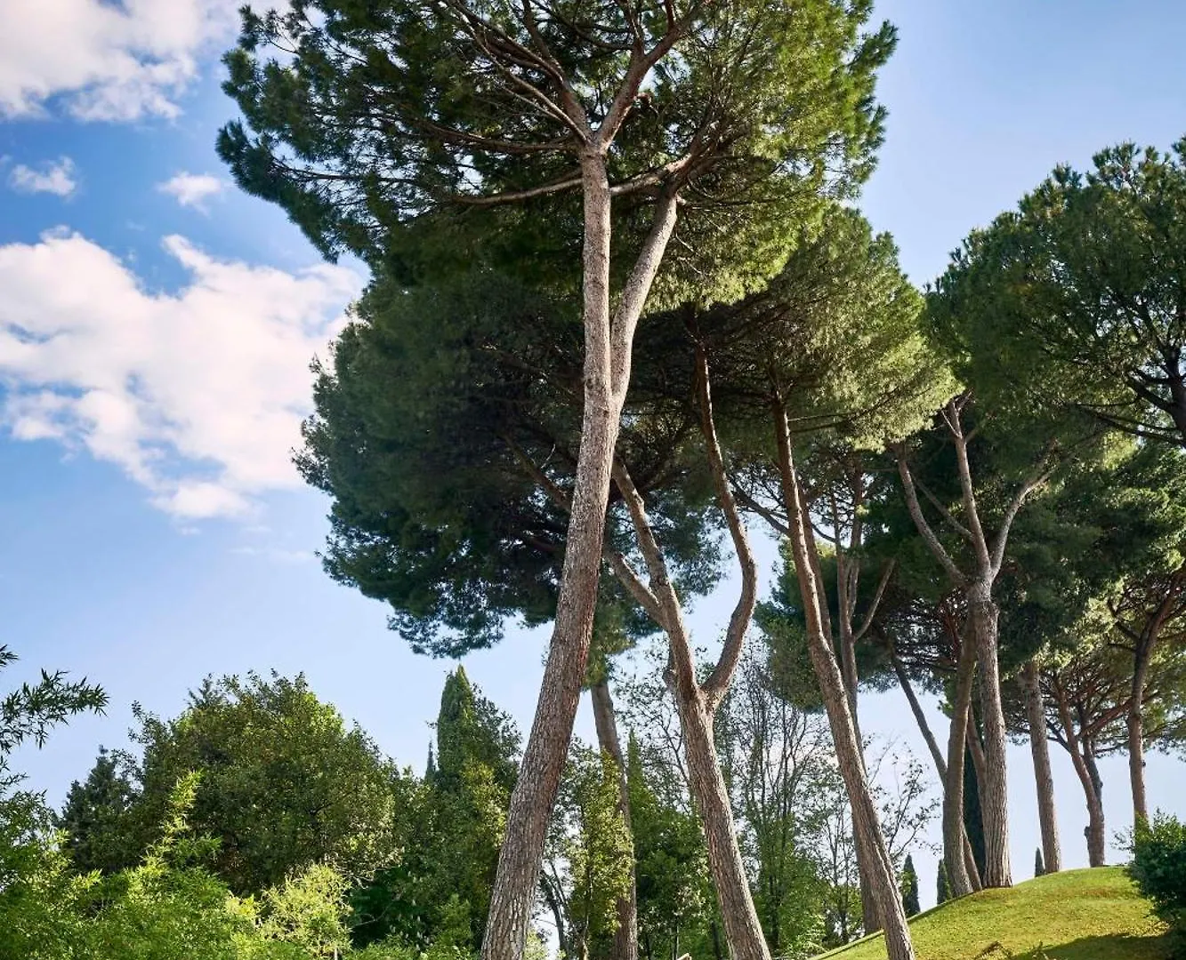 ***** Resort Rome Cavalieri, A Waldorf Astoria Hotel Italy